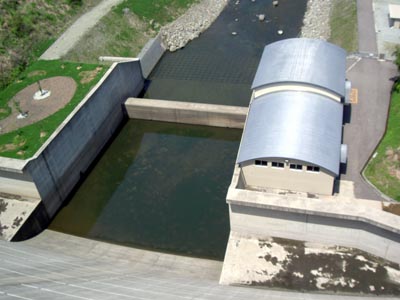 �V�[���猸���H�ƕ��_���Ɣ��d��