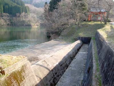 �E�ݑ��̍^���f