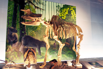 ���䌧������������