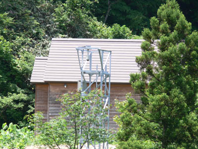 ���̌����͂Ȃ񂾂낤���E�E�E