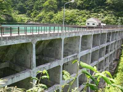 �_���΂ƃo�b�g���X���