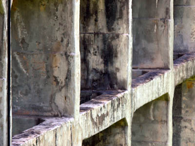 �o�b�g���X�̃R���N���[�g�����Q�Œɂ�ł���悤�ł�