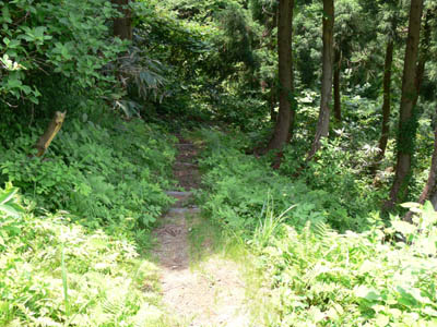 ����ɋ}���z�̍⓹��o��܂�