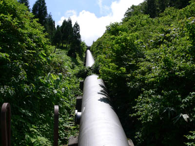 �^�쒲���r����̐����S�ǂ̏���܂����܂�