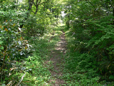 �����܂ŗ���΂��Ə����ł�