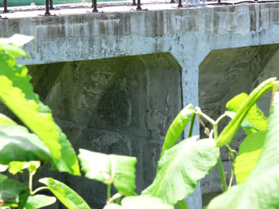 �o�b�g���X���g�債�܂���