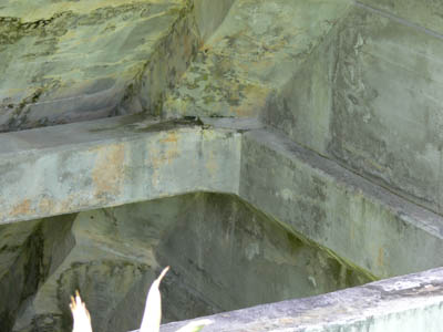 �o�b�g���X�̓���