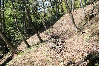 階段の途中に狭いが帯曲輪がありました