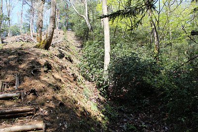 階段の右側には竪堀が走っています