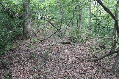 しかしここに大規模な建物は建てられそうもないで