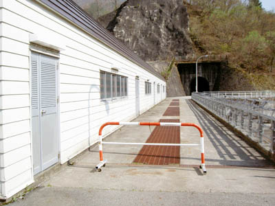 �^���f�����̓V�[