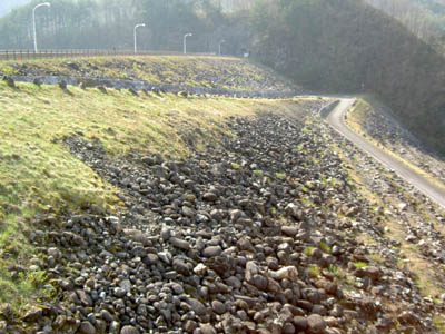 �E�݂����̉�����������