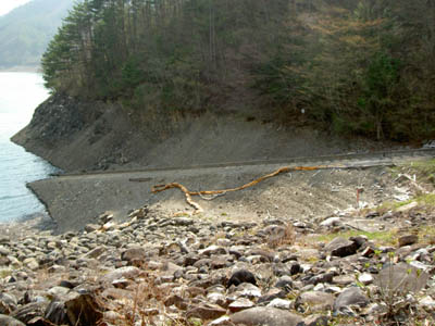 �C���N���C��