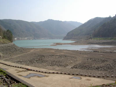 �_���΂͊����C���ł�