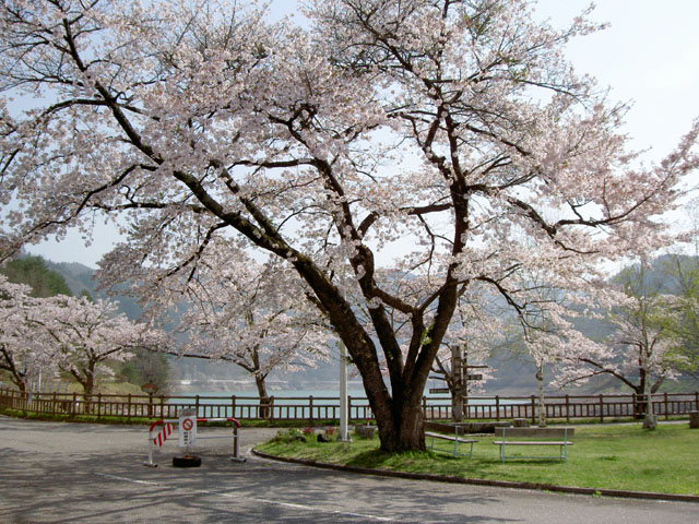 �q���_��