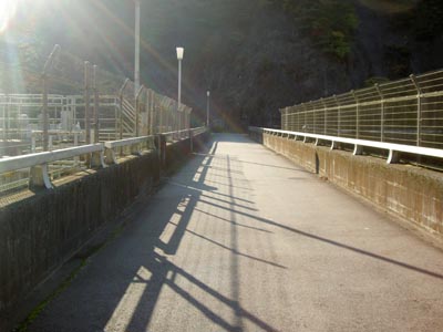 �V�[�����݂��猩��