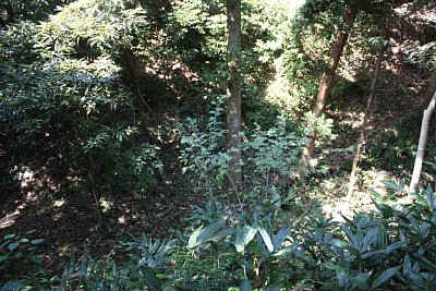 南櫓台と鐘搗堂を遮る堀切