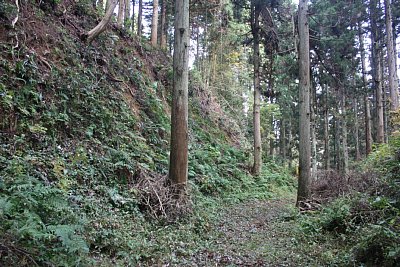 安室屋敷跡の東側の横堀と切岸