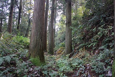安室屋敷跡の北側の外濠