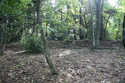 三の丸の周囲にも土塁があります