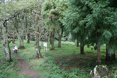 案内板を設置する工事をしているようです