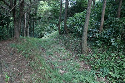 空堀の外側には土塁が走っています