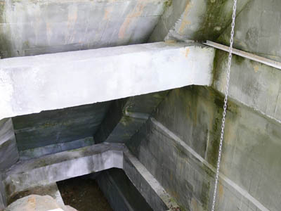 �o�b�g���X�̓����͕⋭�H�����Ȃ���Ă��܂�