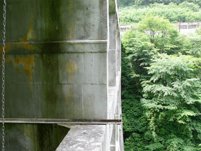 �o�b�g���X���E�݂��猩��