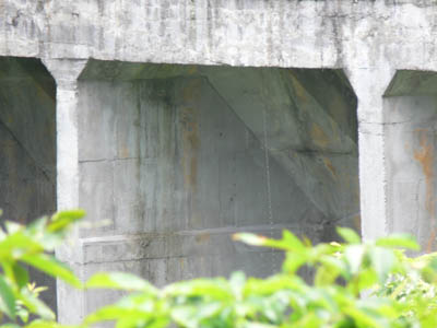 �o�b�g���X�͕����ׂ��ł�