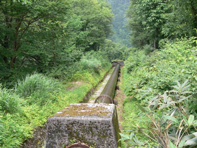 �����S�ǂ��ׂ����̏ォ�牺�������낵�܂�