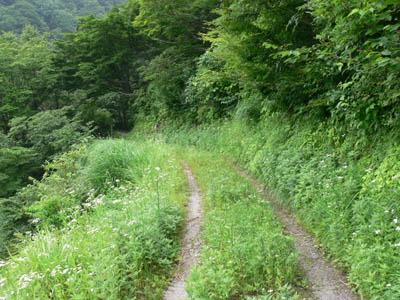 ���̓��H�͈ȑO�͏�����O�����������悤�ł�