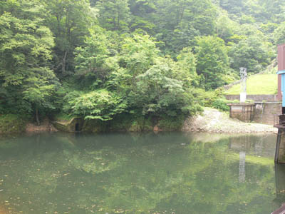 �_���΂́A�ɂ߂ď�����