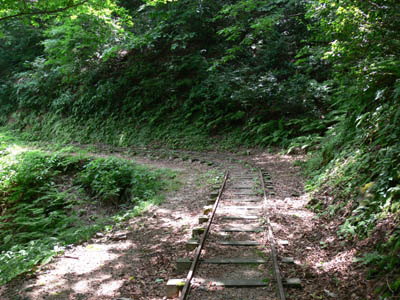 �V�����ł͂ƂĂ�����ȋ}�J�[�u�͋Ȃ���Ȃ�