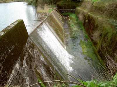 ���R�z�����^���f