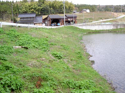 ���݂�����