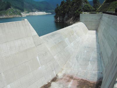 ���p�^���f��