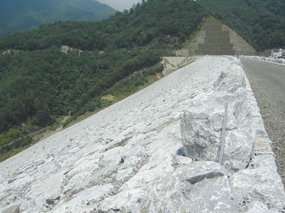 ���݂����̉�����������