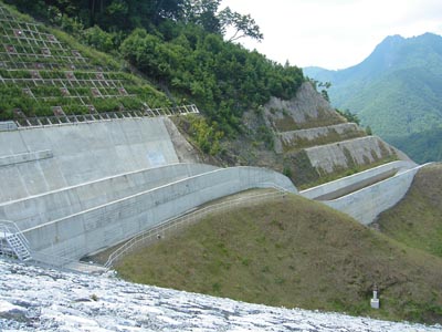 �������������猩��