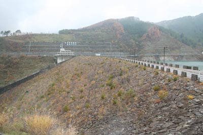 ���X��_���S�i