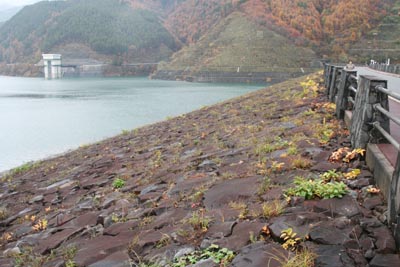 ��̏㗬��������