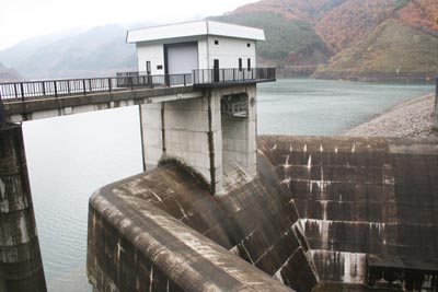 ���p�^���f��