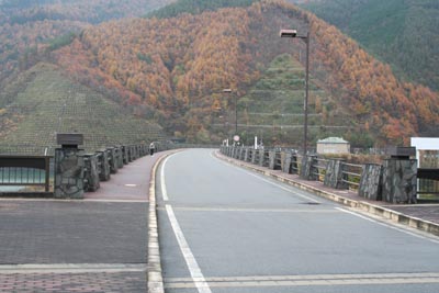 �V�[�͎����Ԃ��ʍs�\�ł�