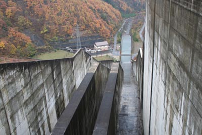 �V�[���瓱�����������낷