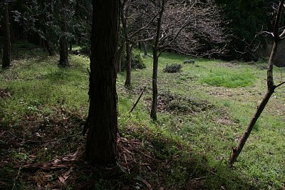 東副郭の東側を守る土塁
