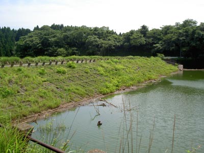 堤体を上流側から見る