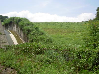 下流から堤体を望む