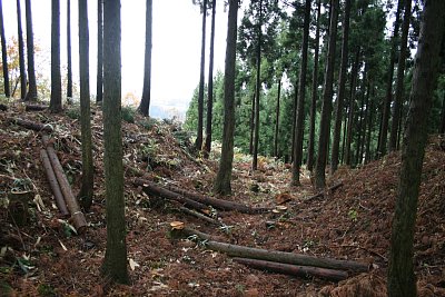 4の郭と3の郭の間の堀切には橋がありません