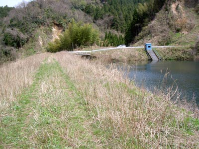 ���݂���V�[