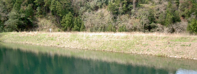 �E�ݏ㗬��������