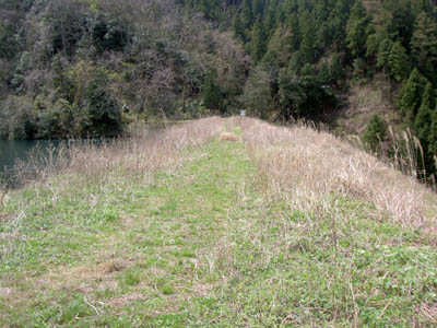 �V�[���E�݂���